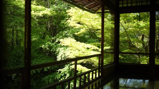 京都 瑠璃光院の青もみじと写り込みが美しい日本庭園｜静寂と和の風景