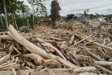Flash Flood Aftermath: Neighborhood Destroyed by Massive Log Debris