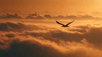 Bird Flying Above Clouds During Sunset.