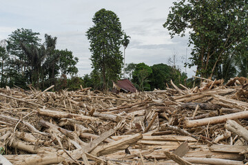 Flash Flood Aftermath: Neighborhood Destroyed by Massive Log Debris