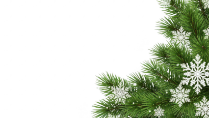 Green pine branches with snowflakes on a transparent background for winter holiday decoration design