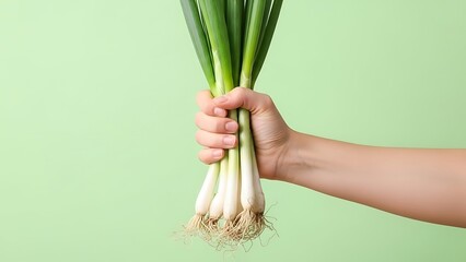 hand holding fresh scallions