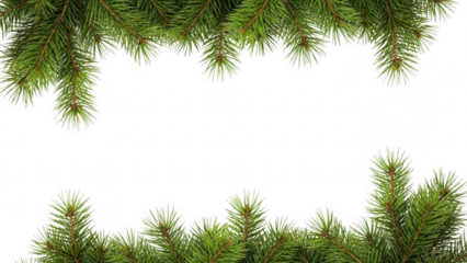 Green pine branches with needles and cones arranged on a transparent background for holiday decoration