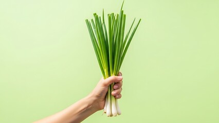 hand holding fresh scallions