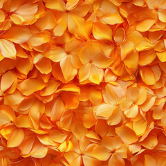 Seamless marigold petals texture floral background pattern