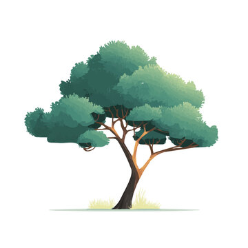2D flat vector illustration of Juniper Tree, designed in a clean icon style and isolated on a white background.