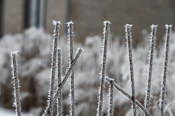neige froid hiver Belgique Ardennes