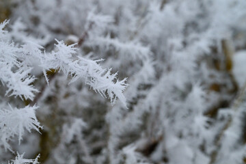 neige froid hiver Belgique Ardennes