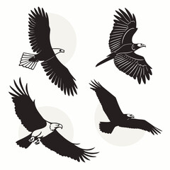 Obraz premium Silhouettes of eagles in flight