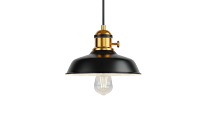 Industrial Black Pendant Light with Gold Accents and Edison Bulb
