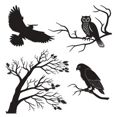 Obraz premium Silhouettes of birds on branches