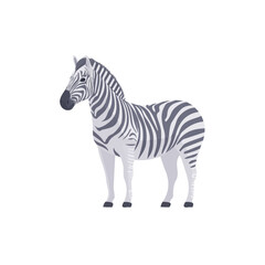 Obraz premium Zebra in a clean 2D flat vector icon style, minimal and simple, set on a plain white background.