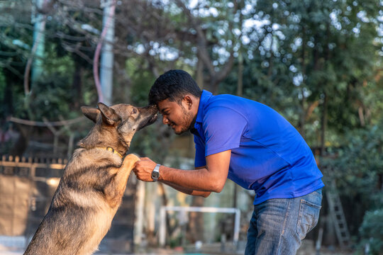 German Shepherds show love through