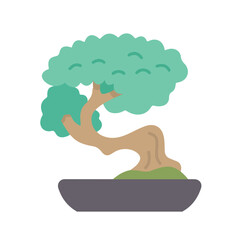 Bonsai, plant, garden icon