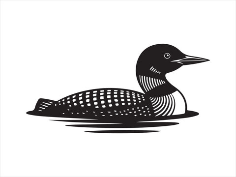 Loon Swimming  water silhouette vector. Duck loon silhouette vector illustration