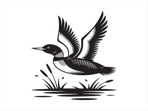 Vector bird loon fly wildlife animal drawing icon silhouette