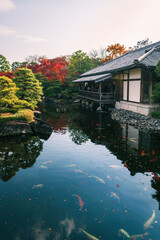 Obraz premium Vibrant autumn maple leaves in Koko-en Garden, Himeji, Japan.