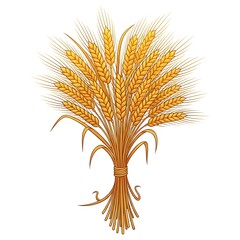 Bundle of golden wheat ears tied together with string isolated on white background