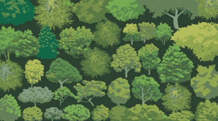 Generate a collection of top-down, stylized illustrations of various trees, presented in an organized grid format