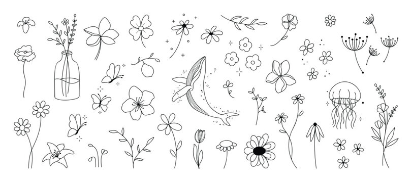 minimal line flower and botanical graphic sketch drawing, trendy tiny tattoo design, floral elements vector illustration
