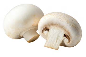 Two fresh white button mushrooms isolated on transparent background