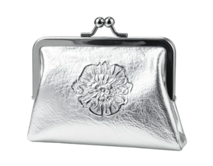 Silver pouch with floral detail & metal clasp closure