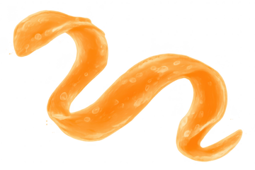 Orange sauce swirl on transparent background, artistic illustration