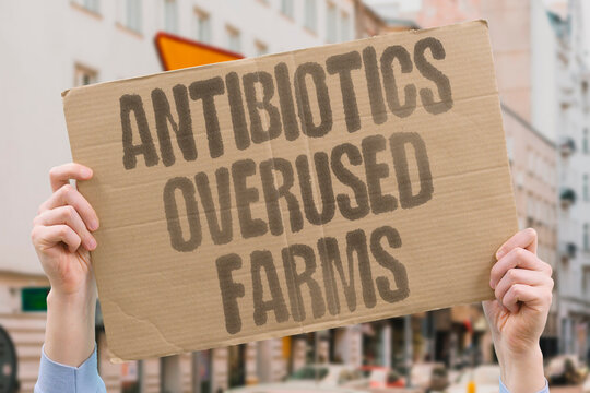 "Antibiotics Overused Farms" Medication abuse threatens human health. MEDICATION. ABUSE. THREATENS. HUMAN. HEALTH.