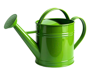 Green watering can, curved spout, handle, and shower head