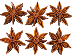 Six brown star anise pods clustered on a black background