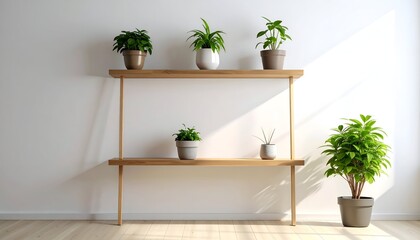 Plants on a simple wooden shelf against a bright white wall