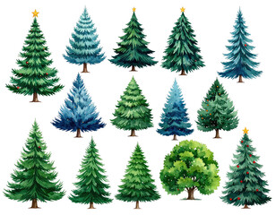 Assorted conifer trees in watercolor painting style