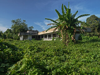 Old, dilapidated farm building in the jungle
