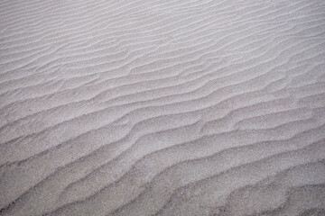 Obraz premium 砂浜に広がる風でできた細かな砂のうねり
