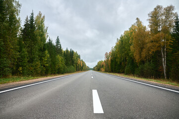 Fototapeta premium An asphalt road in an autumn forest stretches into the distance