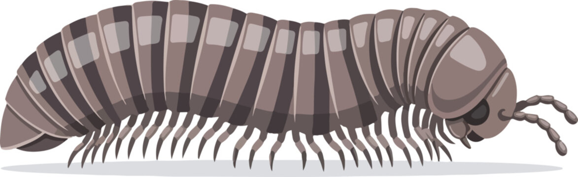 Illustration of a Millipede A Detailed, Close-up View Depicting the Arthropod with Many Legs