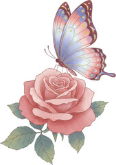 A delicate pink rose with a colorful butterfly perched on its petals