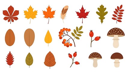 Autumn collection of various nature elements like leaves berries and mushrooms vector