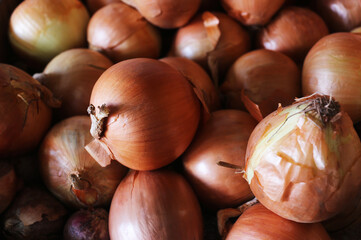 Shallots benefits and reduce cholesterol in the blood, which is caused by heart disease and hypertension. 
