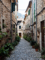 Fototapeta premium Cobblestone Street, Potted Plants, Mallorca