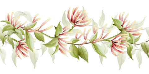 Watercolor blooming garden vine seamless border. Lush honeysuckle blossom with flowers and leaves repeat bottom banner. Pastel green, beige and pink climbing liana plant for spring nature florals