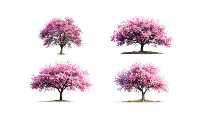 Obraz premium A close-up macro shot of a branch of blooming white cherry blossoms, with delicate petals and buds against a white background