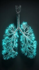 Lungs of Life: An illuminated diagram of human lungs, highlighting the intricate network and vitality of the respiratory system. 