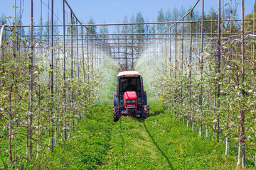 사과재배 과수원의 농약 방제 작업
