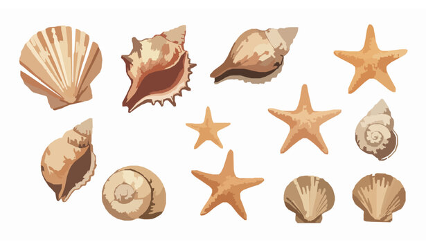 Seashell and starfish watercolor clipart set with marine animals for summer and beach designs