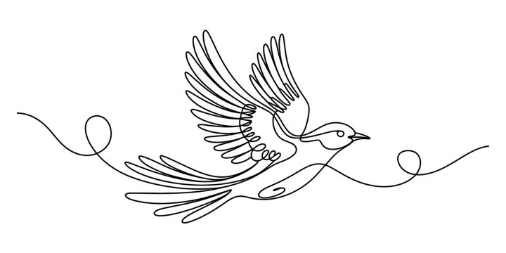 A simple continuous line art drawing of a flying bird silhouette in black ink Vector, illustration