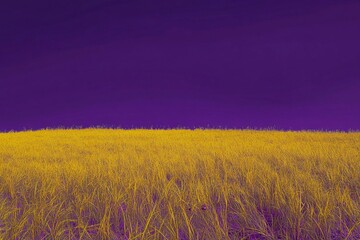 Bright yellow meadow under a striking purple sky showcases nature's vivid colors at sunrise