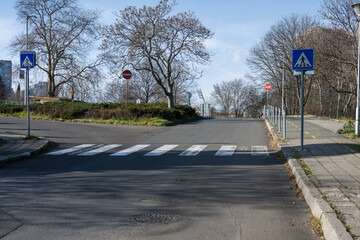 a quiet paved road with a white striped pedestrian crosswalk, flanked by blue crossing signs and bare trees under a blue sky.