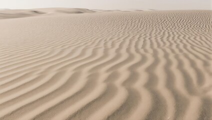 Obraz premium Rippling sand dunes in a vast desert landscape under a clear sky.