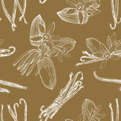 Vanilla hand drawn seamless pattern